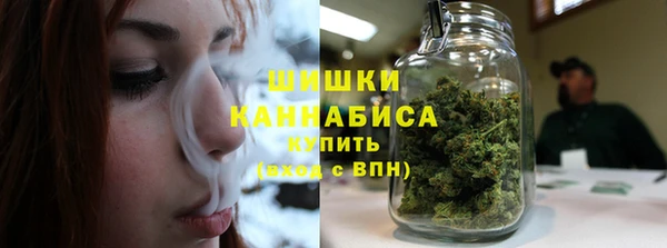 spice Сосновый Бор