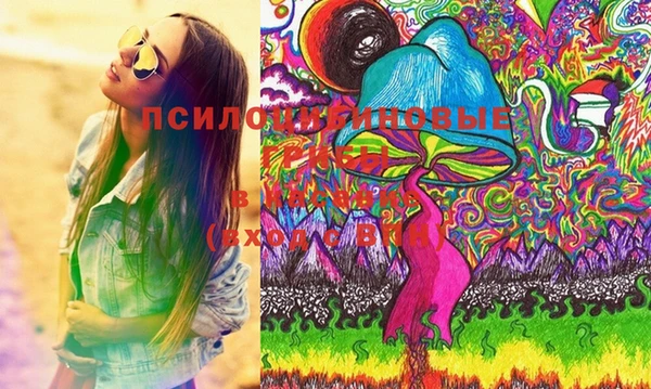 spice Сосновый Бор