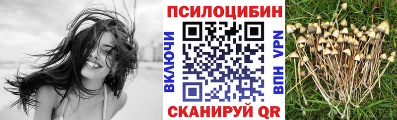 мега сайт  что такое наркотик  Краснодар  даркнет формула  Псилоцибиновые грибы MAGIC MUSHROOMS 